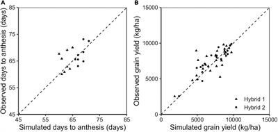 Environment Characterization in Sorghum (Sorghum bicolor L.) by Modeling Water-Deficit and Heat Patterns in the Great Plains Region, United States